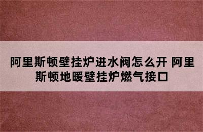 阿里斯顿壁挂炉进水阀怎么开 阿里斯顿地暖壁挂炉燃气接口